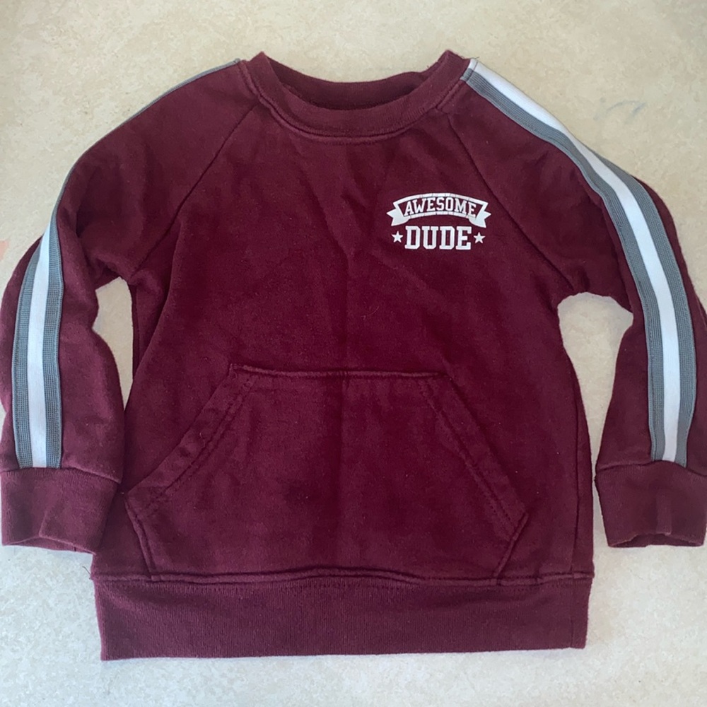 ♥️ GARANIMALS 2T Sweater